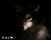 Arctic Wolf Radio 
