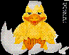 [E] cute duck