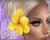 ℳ▸Yellow Flower