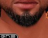 GNS - Realistic beard