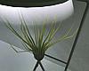 Minimalist Plant Lamp