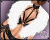 White Fur Collar