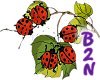 B2N-Ladybugs Sticker