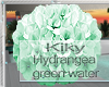 [kk]💋 Hydrangea Green