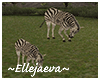 African Zebra Animated