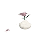 pink rose & vase 