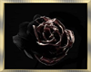 Dark Rose Frame 1