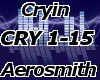 Cryin - Aerosmith