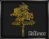 (ED1)Tree-4