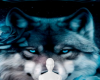 Wolf 12 background