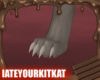 Noody Paws M