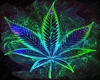 Little Weed T-Shirt