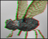 HOMELESS FLY