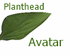 Planthead Avatar