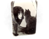 MIRROR CAT