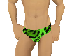 Green Leopard Swim Trunk
