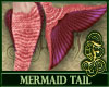 Mermaid Tail Coral