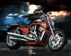 Harley Motorcycles