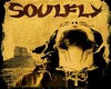 Soulfly - Back Primitive