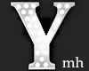 Silver Letter Y