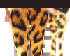 &; Cheetah Leggings.