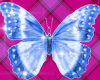 [C]Blue Butterflies