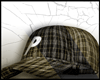 $ Plaid P