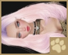 ~AM~ KittyFly P Hair v3