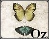 [Oz] - Pict butterfly 2