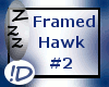 !D Framed Hawk #2