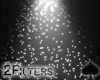 Cat~Glitters.Spotlights