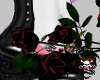 GCI - 3 roses w/rings