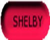 !SHELBY TAG