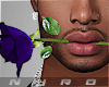 Mouth Rose | Purple