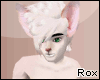 [Rox] Hairless Cat Fur M