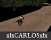 xlx Horse Runing trees