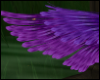 Purple Fae Wings