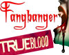 .V-V. Fangbanger red