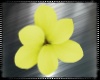 Yellow Hair Flower L