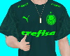 T-shirt Palmeiras 20/21