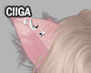 🐻 Cat ears pink