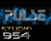 S954 Pulse Club Sign