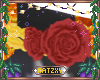 ꨄSparta Roses 16ꨄ