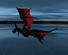 DRAGON FLYING Black Red