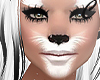 White Cat Head