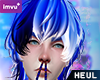 NHC - FHUB Hair
