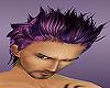 [QV] Hiro Purple Hair