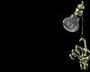 Z* Vamp Piercing Zell S.