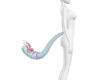 HK chrome Tail