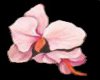 Pink Orchid Floor Marker